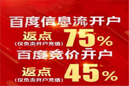 顶尖SEM竞价代运营公司案例分析
